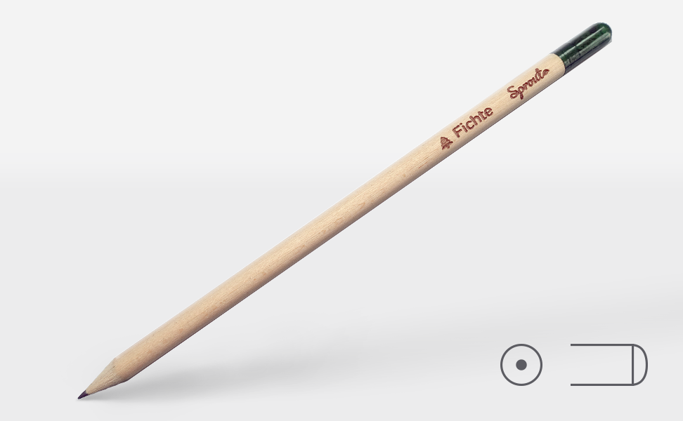 Sprout® Bleistift Fichte
