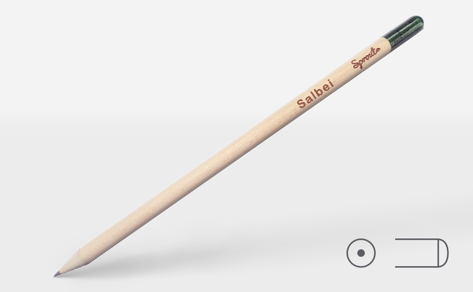 Sprout® pencil Salbei